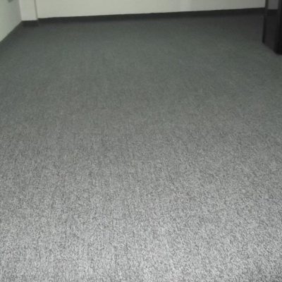 visao-do-carpete-q24y7-503